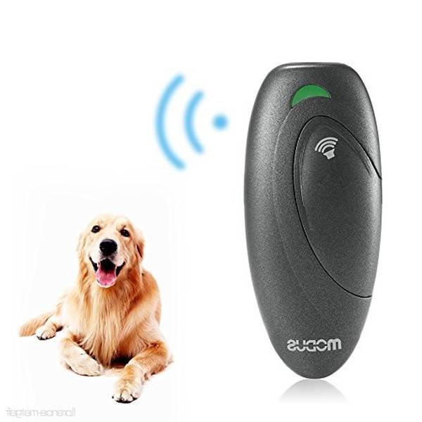 cours de dressage pour chien de garde