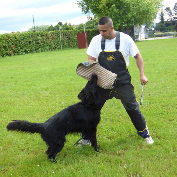 prix dressage chien ariege