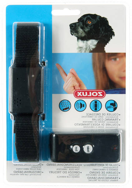 dressage pour chien hainaut