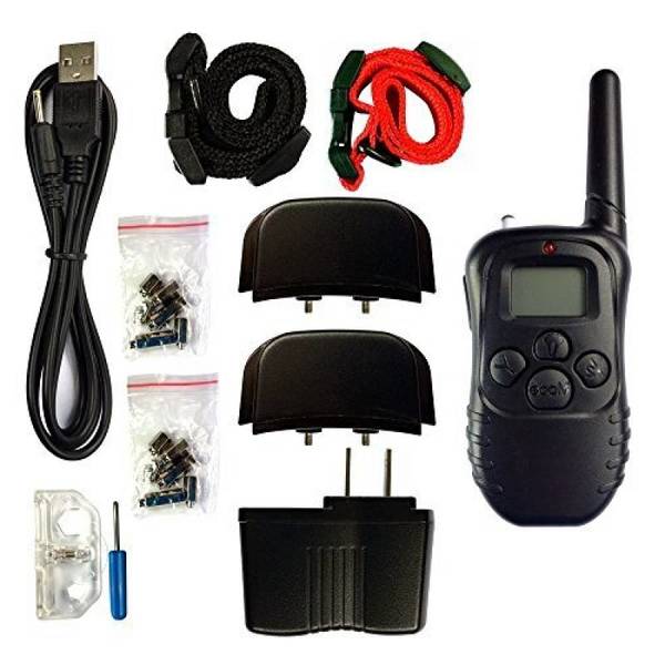 dressage chien orgeval 78