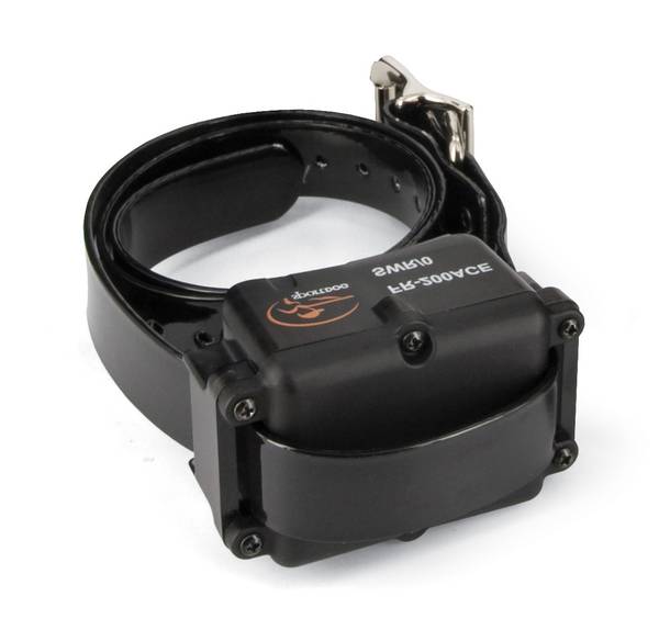 ecole dressage chien luxembourg