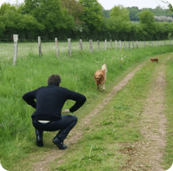 dresseur de chien boulogne sur mer