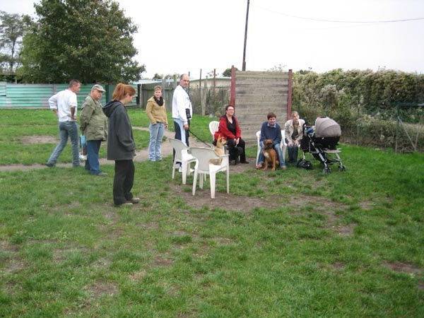 dressage chien avec sifflet