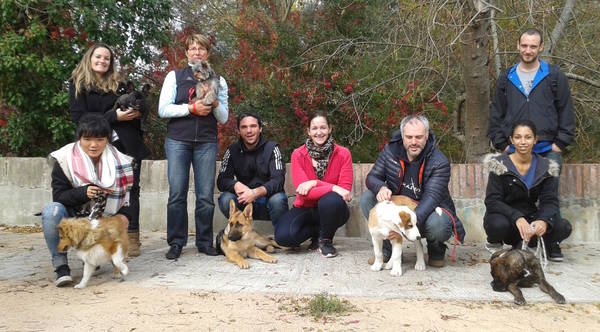 dressage chien en allemand