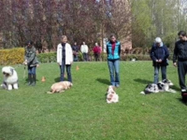 pension dressage chien ile de france