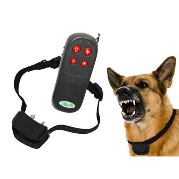 collier dressage chien chasse decathlon