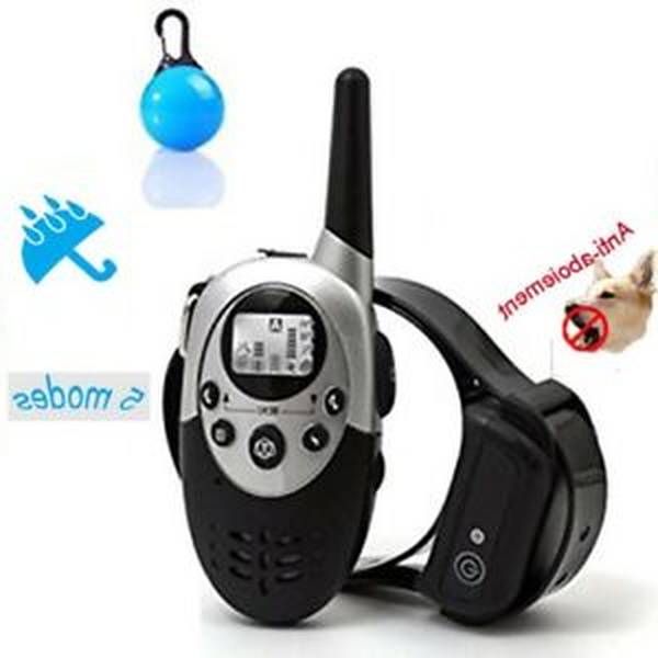 dressage chien bordeaux 33