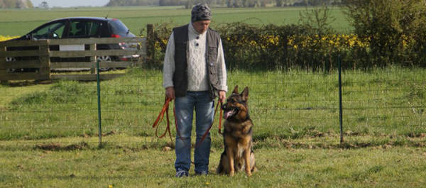 cours dressage chien attaque