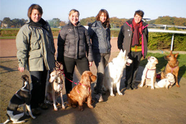 dressage chien zoothérapie