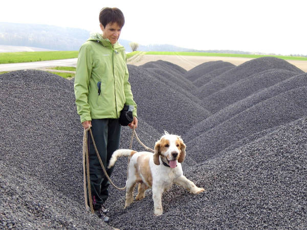 dressage chien vienne dressage chien vienne