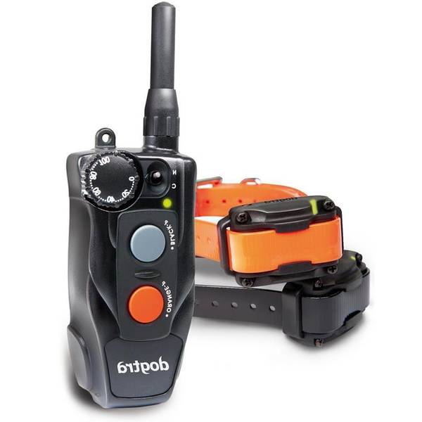 dressage de chien berger malinois