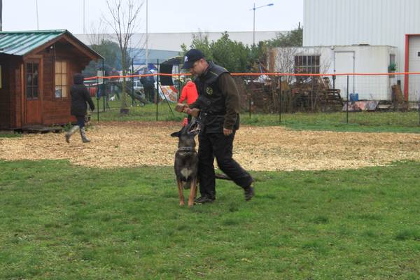 dressage pour chien boulogne sur mer