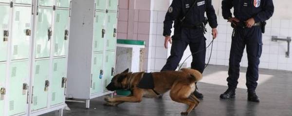 dressage chien de chasse lozere