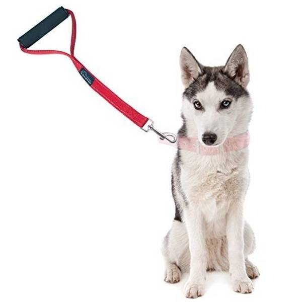 dressage chien figeac