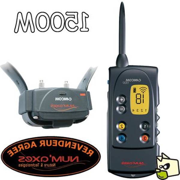 dressage chien evere