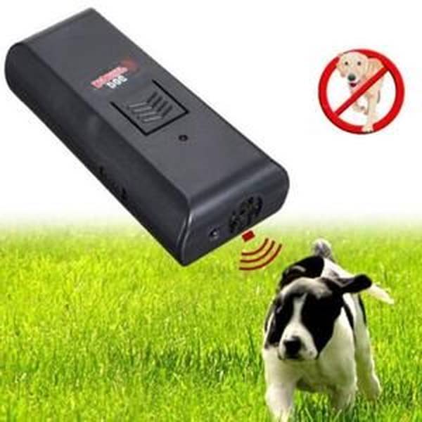 dressage de chien luxembourg