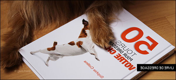 collier de dressage chien de chasse cdiscount