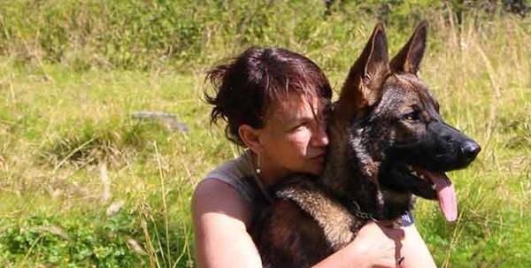 dressage chien rennes