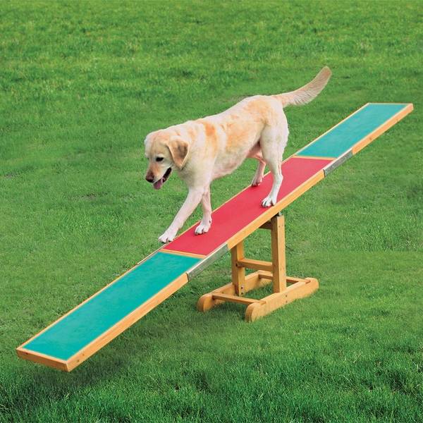 caille pour dressage chien darret