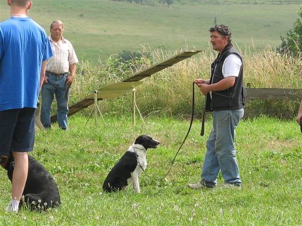 prix dressage chien oise