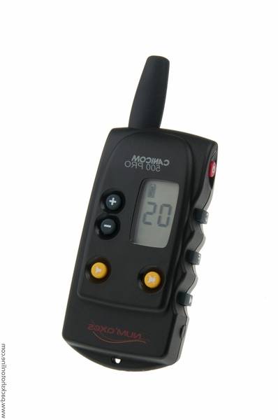 dressage chien courant sanglier dressage chien courant sanglier