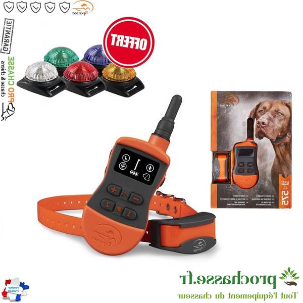 dressage chien bruxelles woluwe