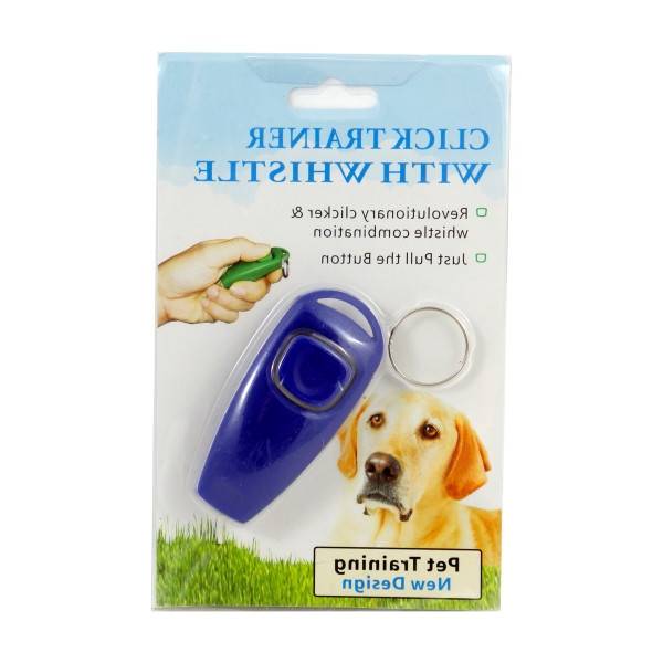 dressage chien berger allemand 2 mois