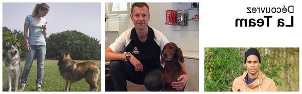 dressage chien darret caille dressage chien darret caille