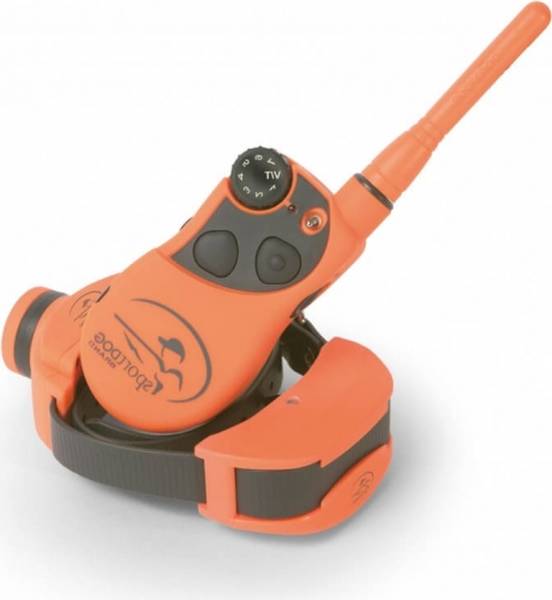 dressage de chien québec