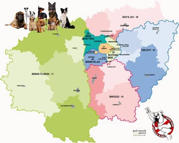 dressage chien guide aveugle