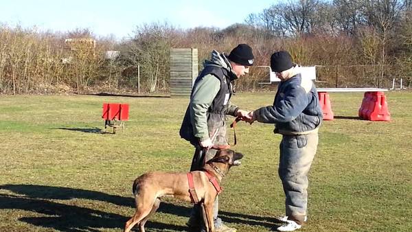 dressage chien darret bouches du rhone