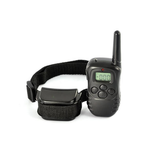 comment dresser chien agressif