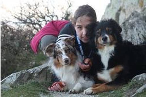 dressage chien 01120