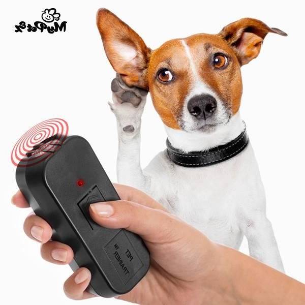 sifflet dressage chien arret