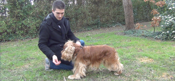 dressage chien haute savoie