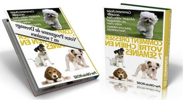 dressage chien algerie