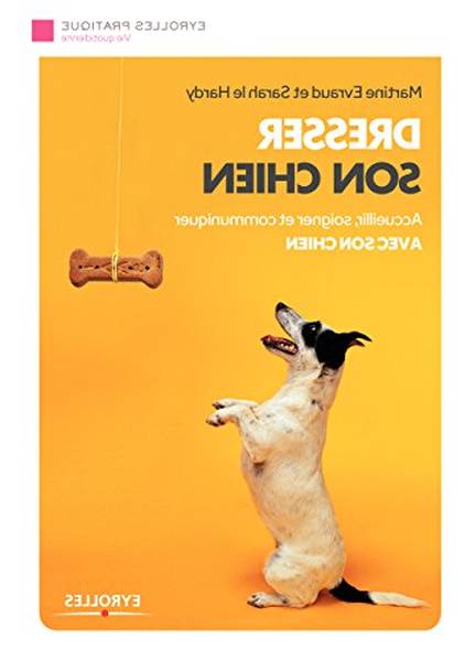 dressage chien facile