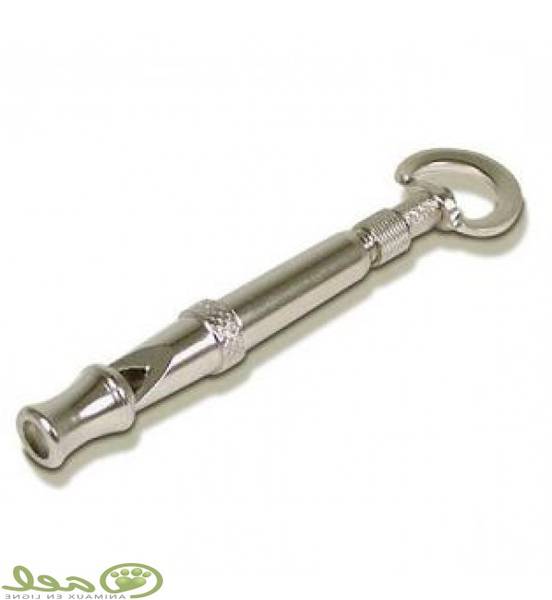 dressage chien martinique