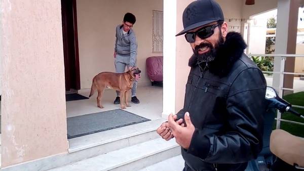 dressage chien en allemand