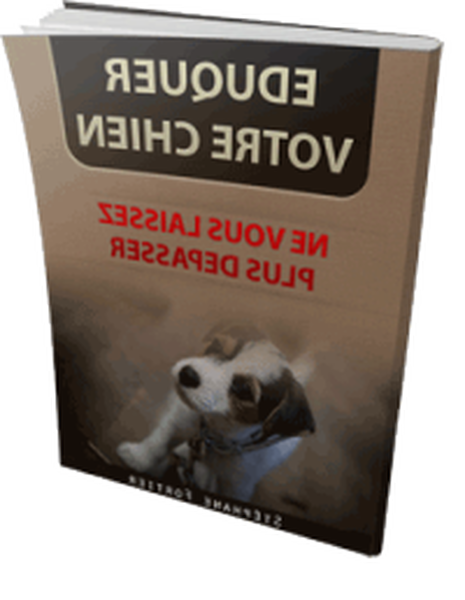 dressage chien darret au rapport