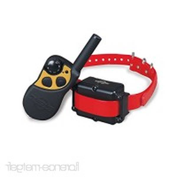 dressage chien blegny