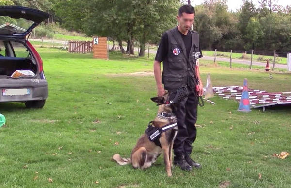 collier dressage chien chasse gps collier dressage chien chasse gps