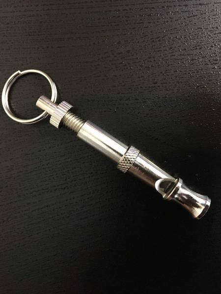 dressage chien villeneuve les avignon