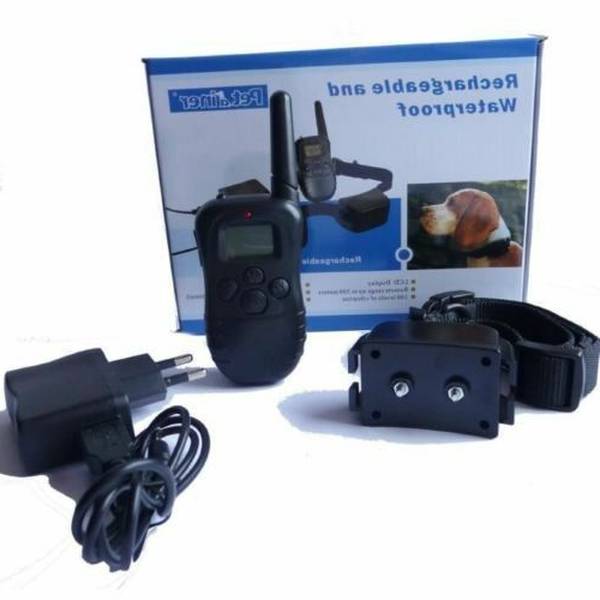 dressage chien chelles