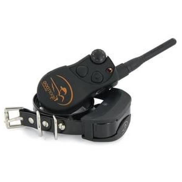 dressage chien yzeure